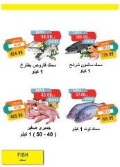 صفحة 15