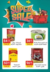 صفحة 3