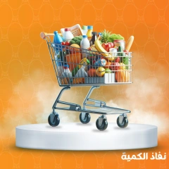 صفحة 2