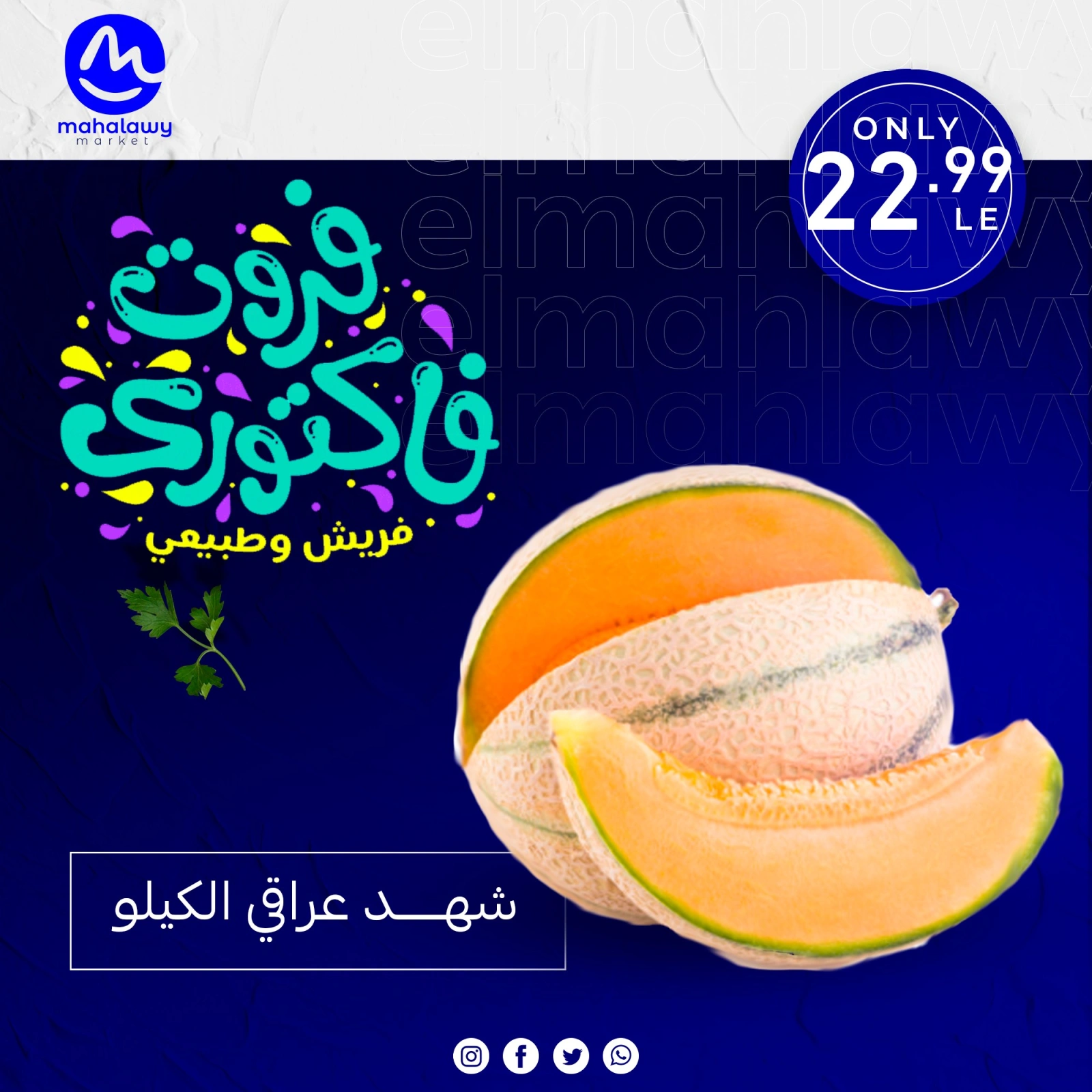 Page 15 dans Offres de légumes et de fruits chez El mhallawy Sons Egypte