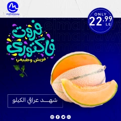 Page 15 dans Offres de légumes et de fruits chez El mhallawy Sons Egypte