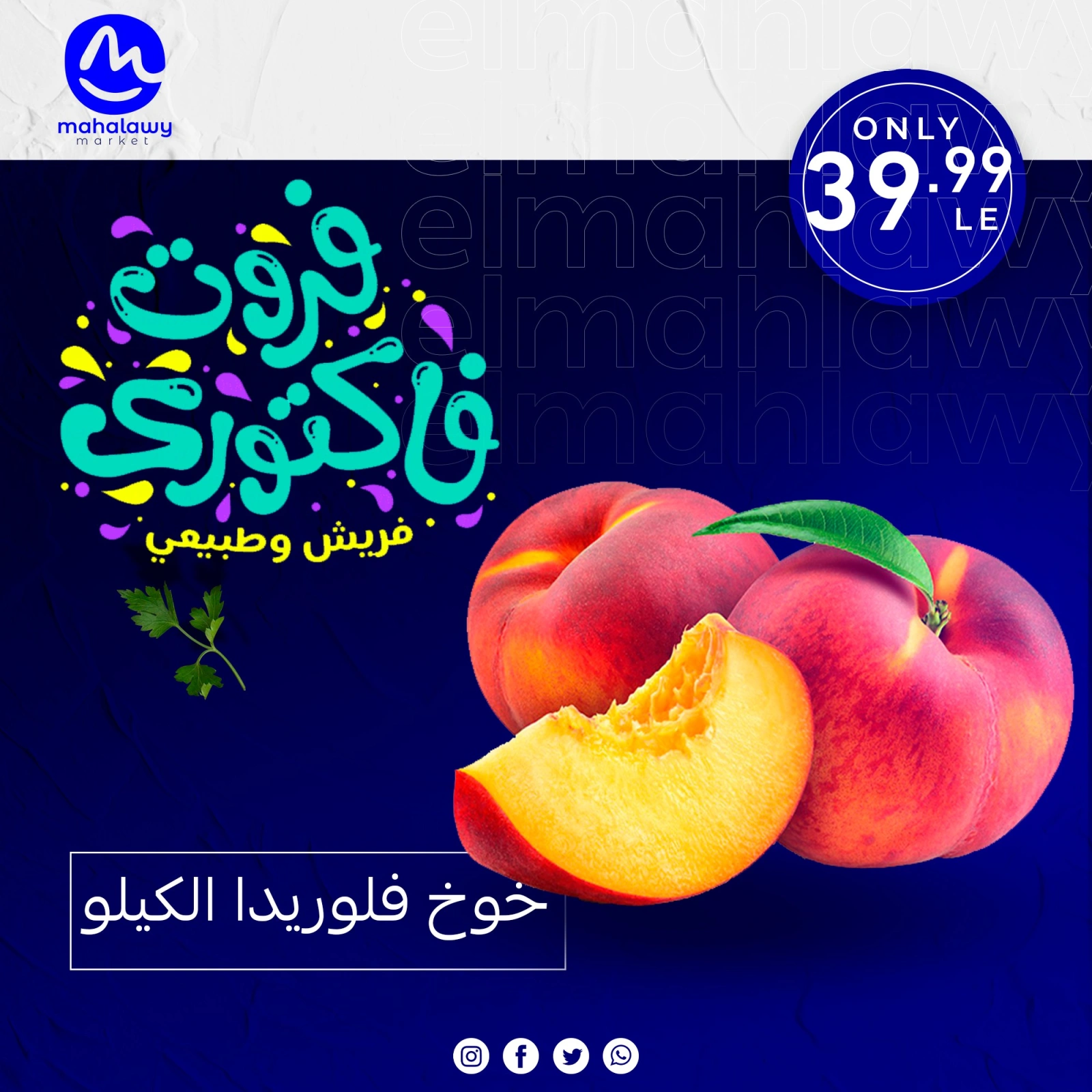 Page 3 dans Offres de légumes et de fruits chez El mhallawy Sons Egypte