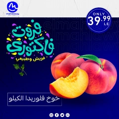 Page 3 dans Offres de légumes et de fruits chez El mhallawy Sons Egypte