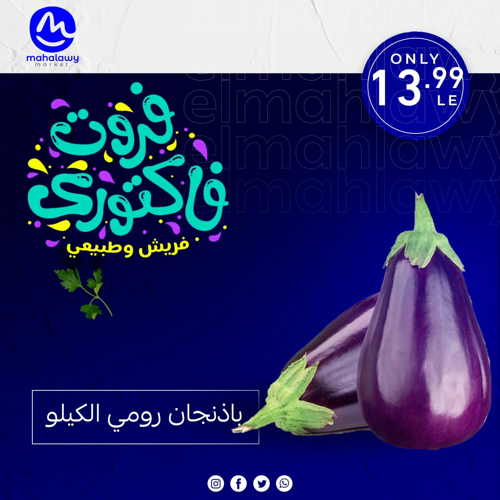 Page 22 dans Offres de légumes et de fruits chez El mhallawy Sons Egypte