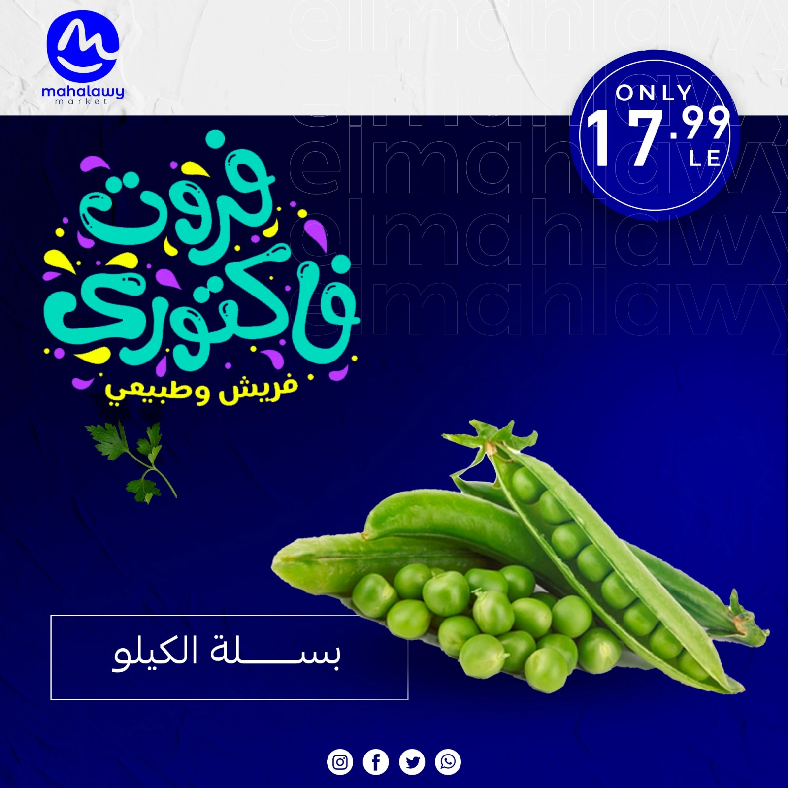 Page 19 dans Offres de légumes et de fruits chez El mhallawy Sons Egypte