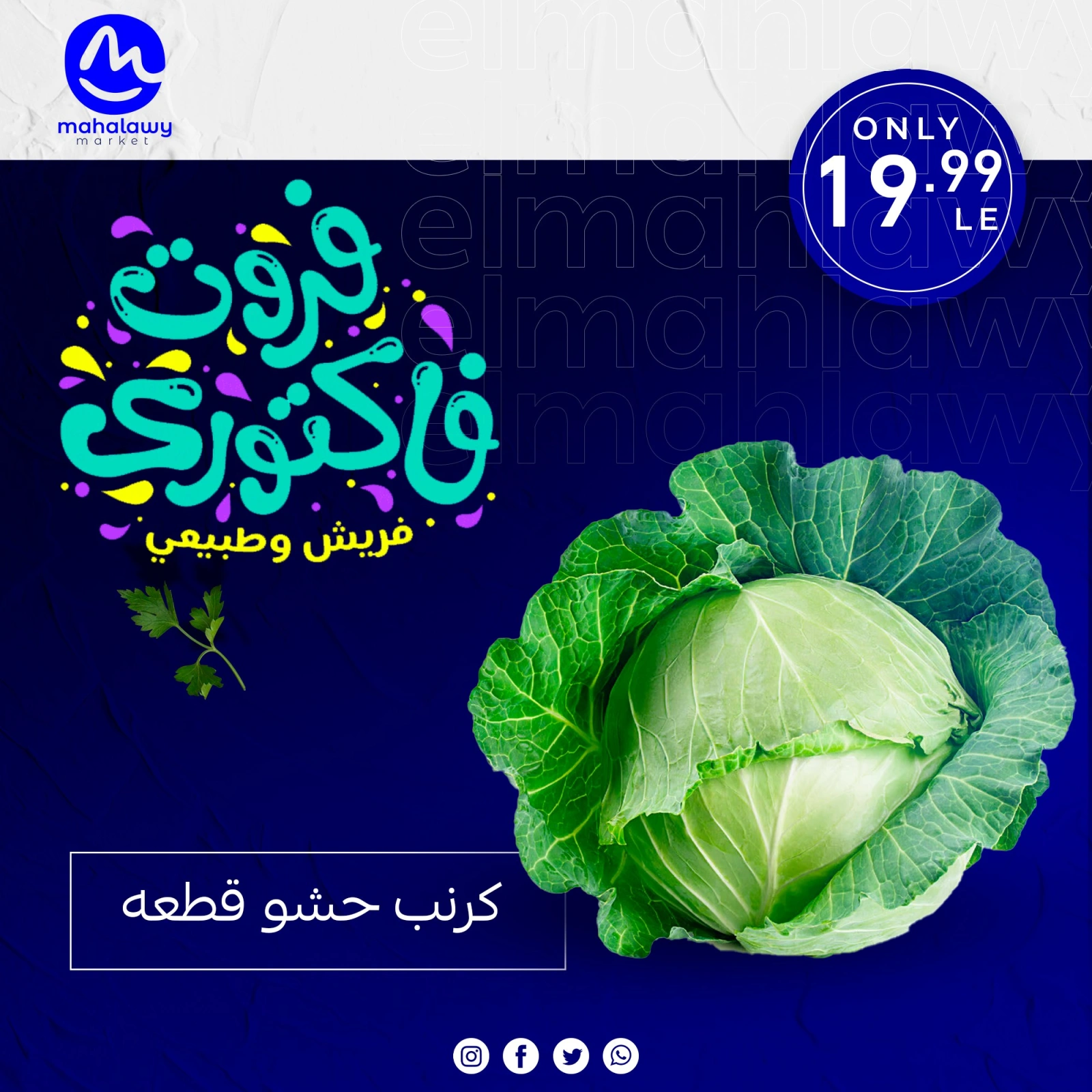 Page 30 dans Offres de légumes et de fruits chez El mhallawy Sons Egypte