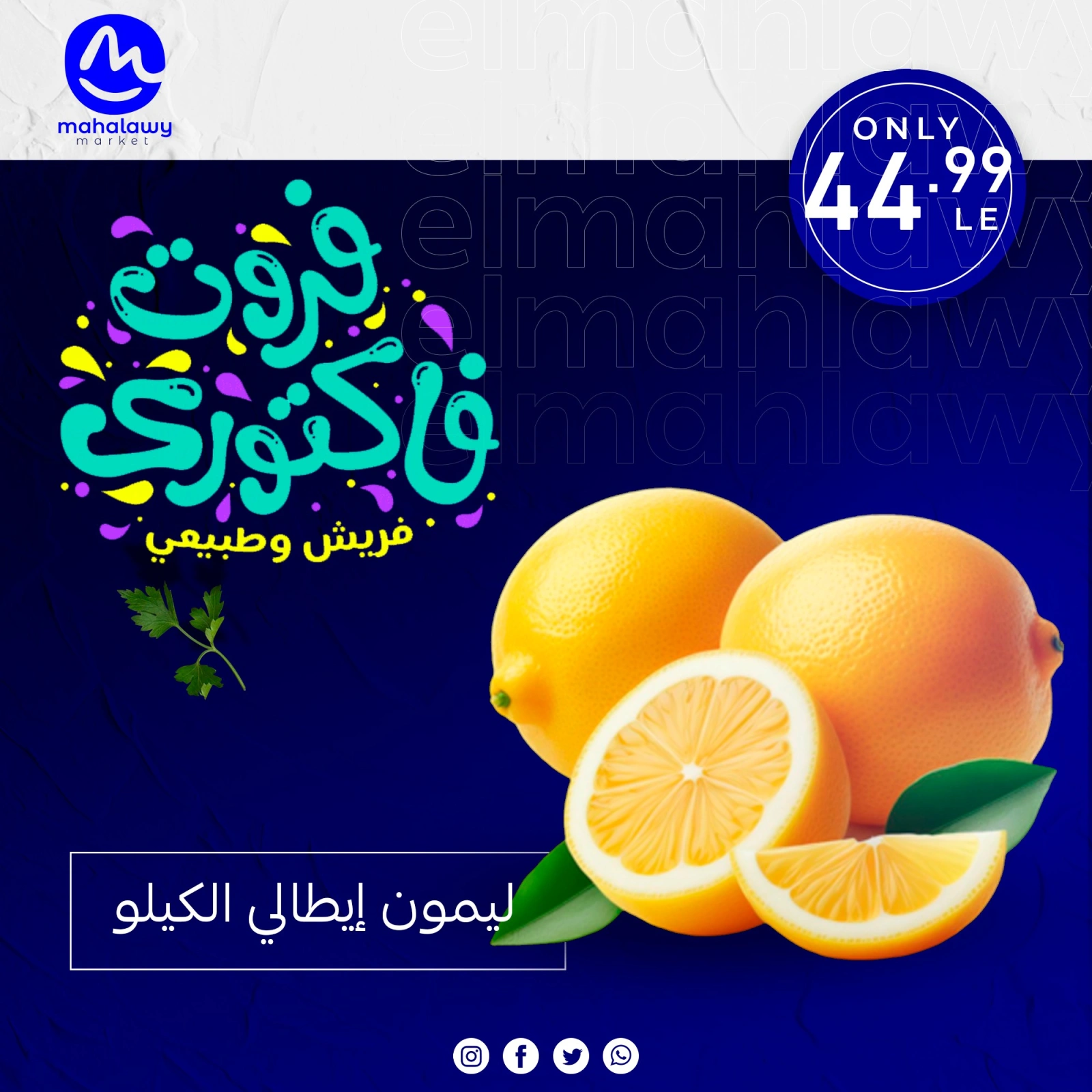 Page 12 dans Offres de légumes et de fruits chez El mhallawy Sons Egypte