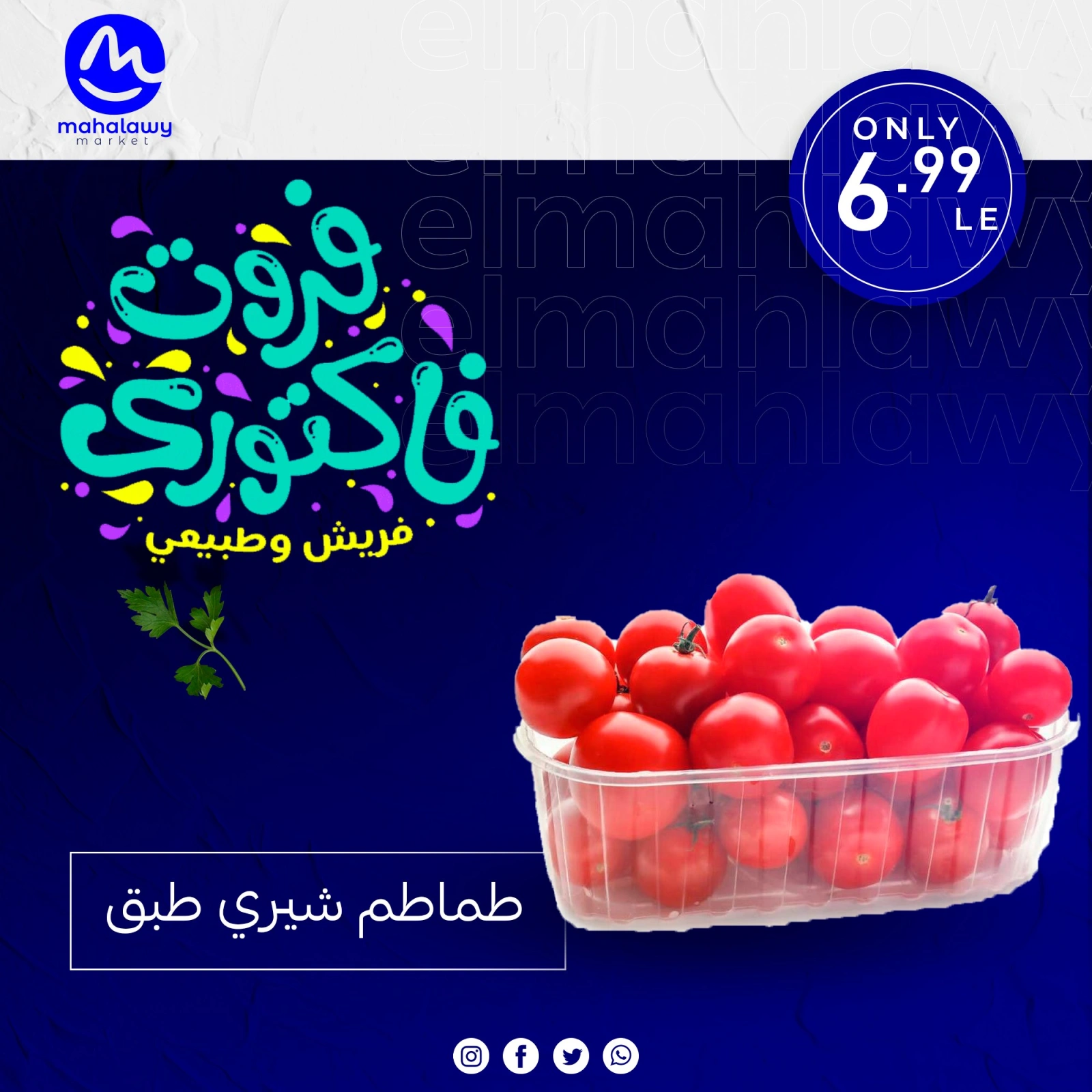 Page 26 dans Offres de légumes et de fruits chez El mhallawy Sons Egypte