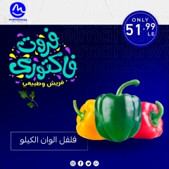 Page 29 dans Offres de légumes et de fruits chez El mhallawy Sons Egypte