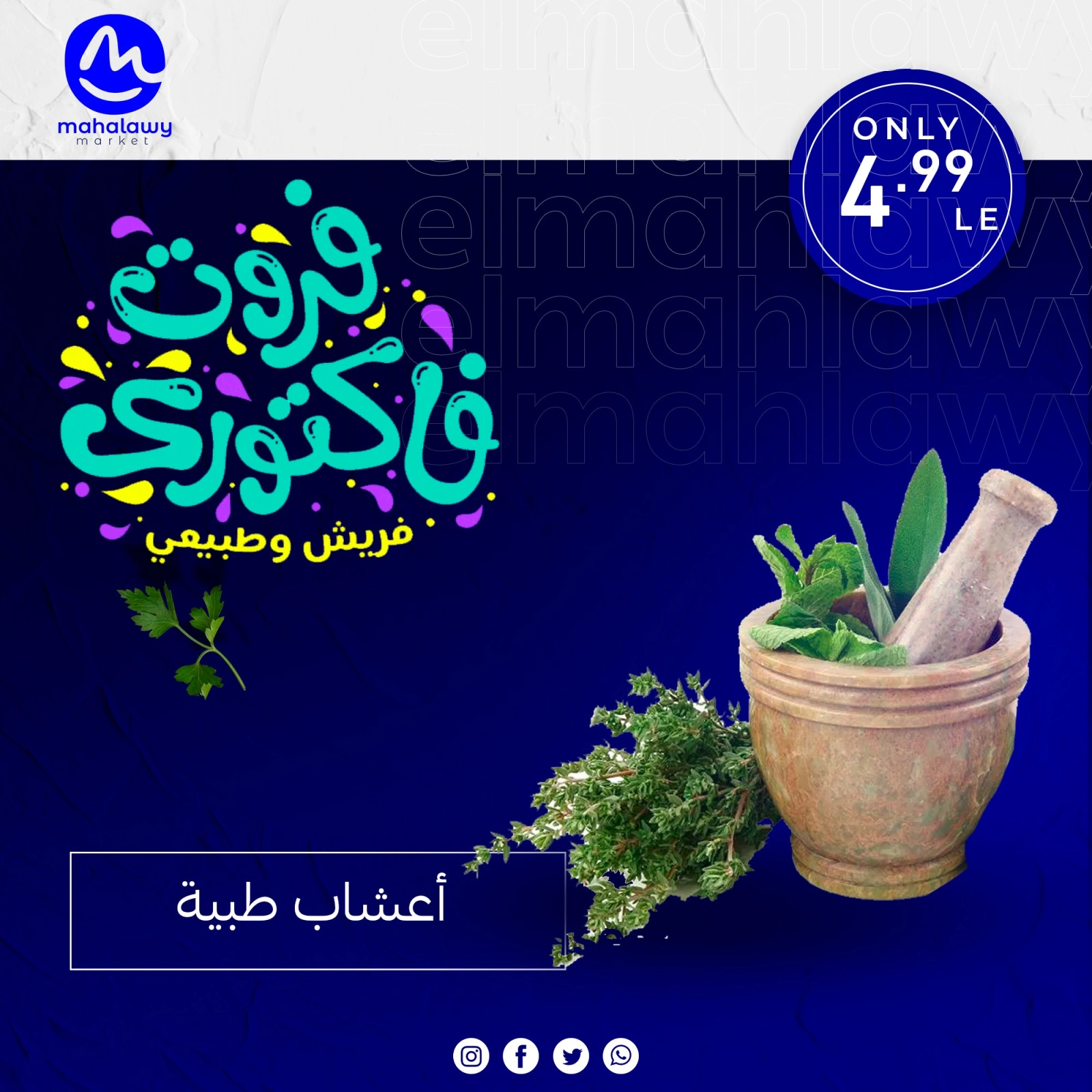 Page 32 dans Offres de légumes et de fruits chez El mhallawy Sons Egypte
