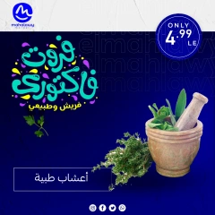 Page 32 dans Offres de légumes et de fruits chez El mhallawy Sons Egypte