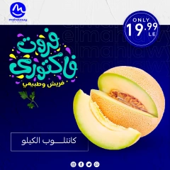 Page 17 dans Offres de légumes et de fruits chez El mhallawy Sons Egypte
