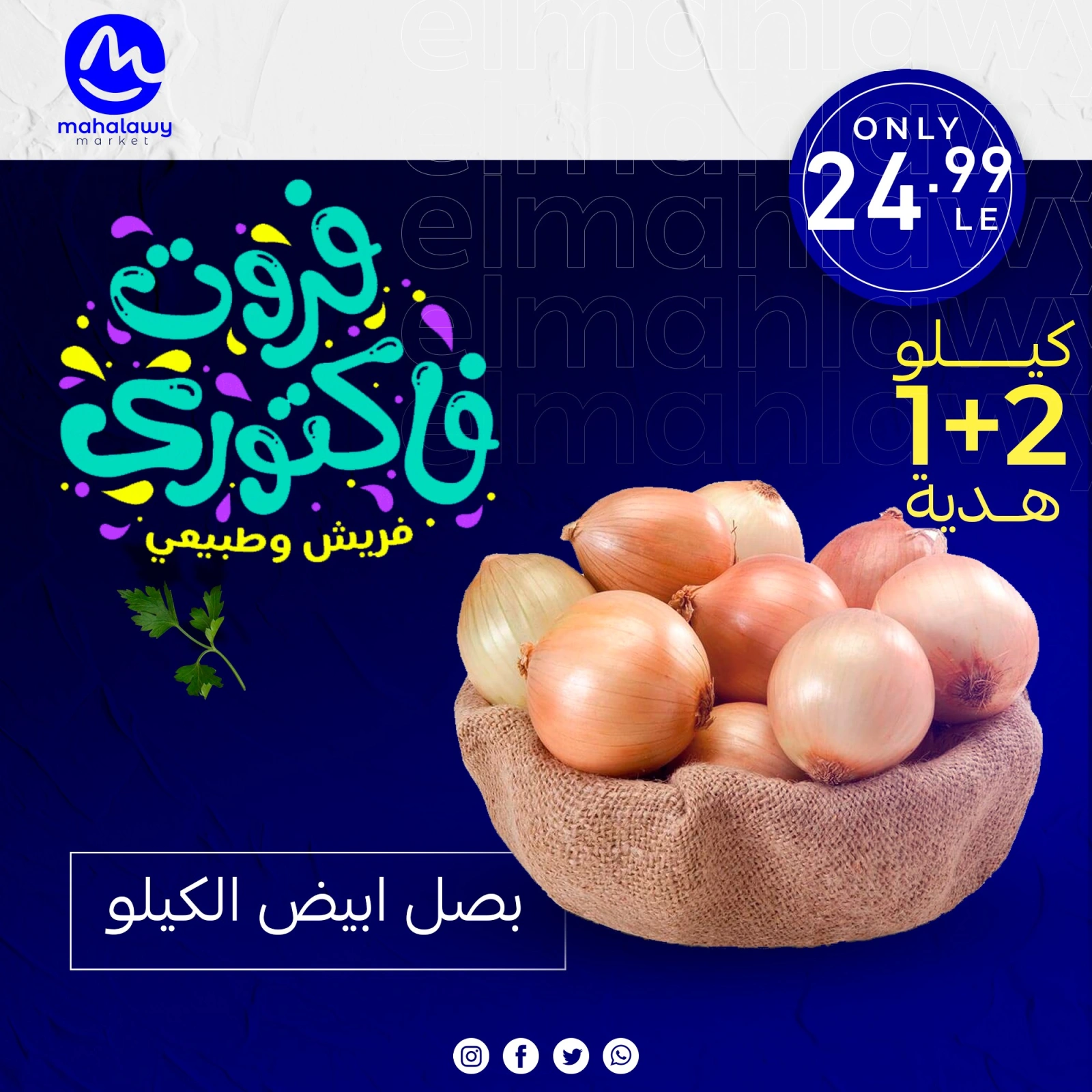 Page 6 dans Offres de légumes et de fruits chez El mhallawy Sons Egypte