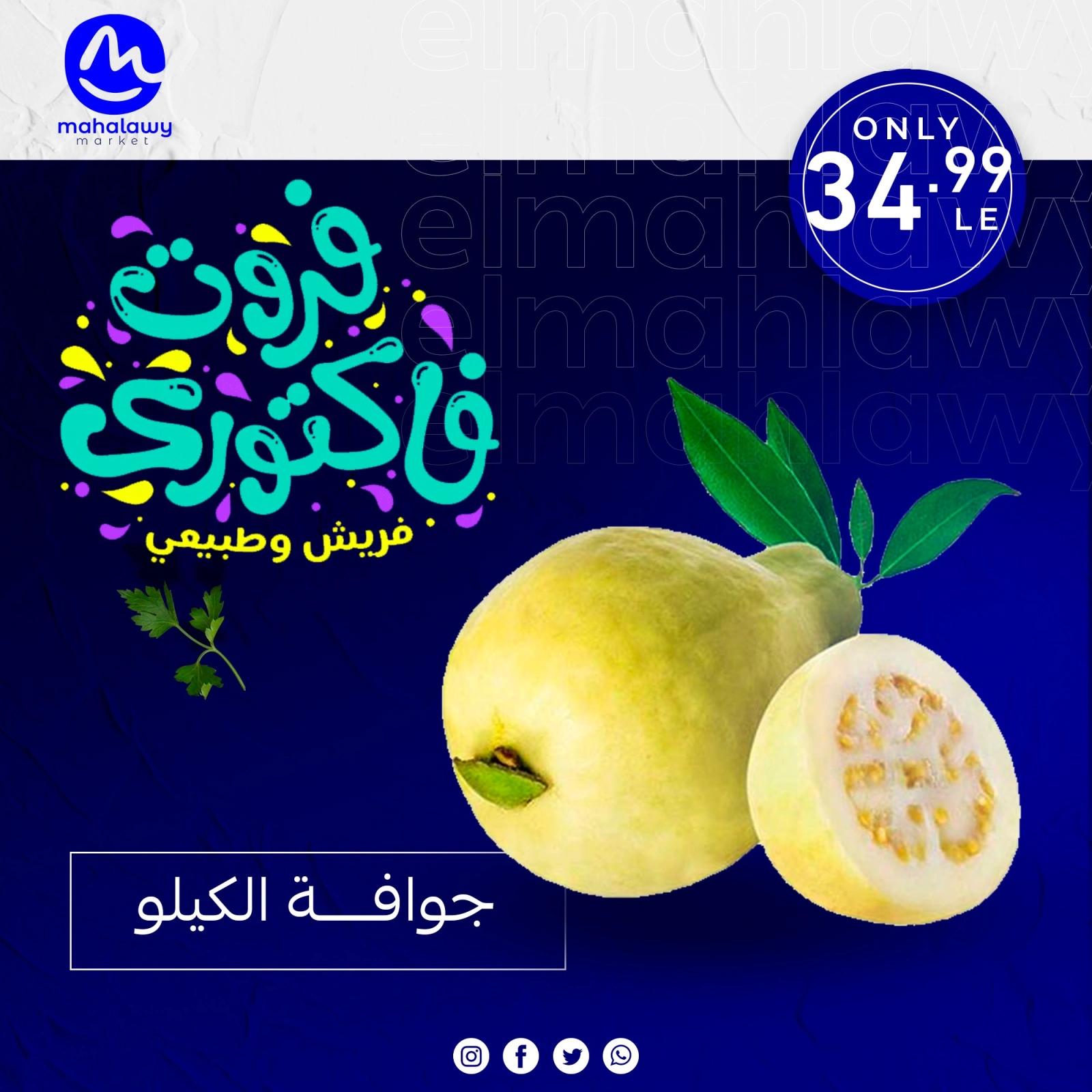 Page 4 dans Offres de légumes et de fruits chez El mhallawy Sons Egypte