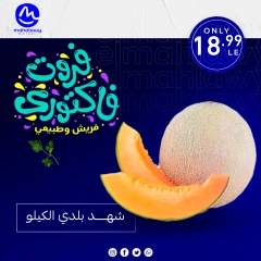 Page 16 dans Offres de légumes et de fruits chez El mhallawy Sons Egypte