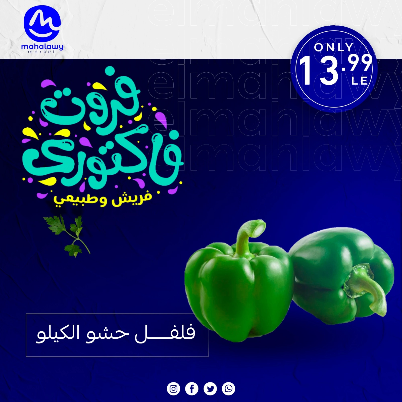 Page 23 dans Offres de légumes et de fruits chez El mhallawy Sons Egypte