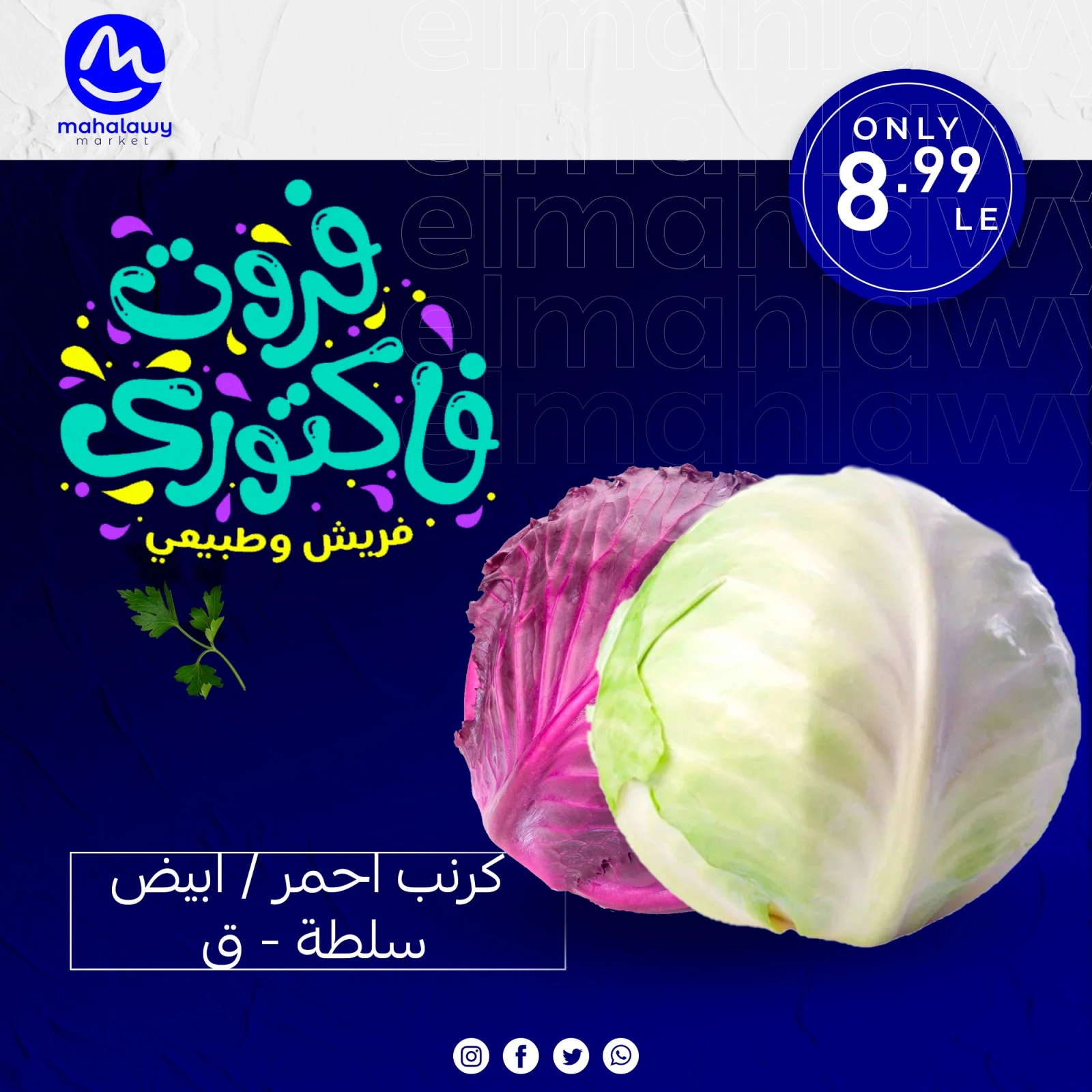 Page 9 dans Offres de légumes et de fruits chez El mhallawy Sons Egypte