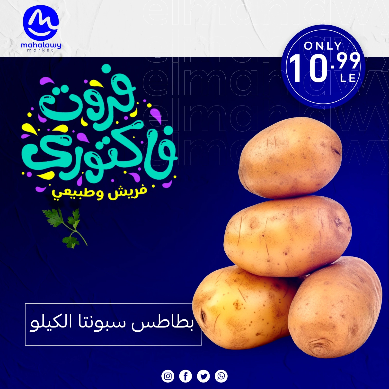 Page 7 dans Offres de légumes et de fruits chez El mhallawy Sons Egypte