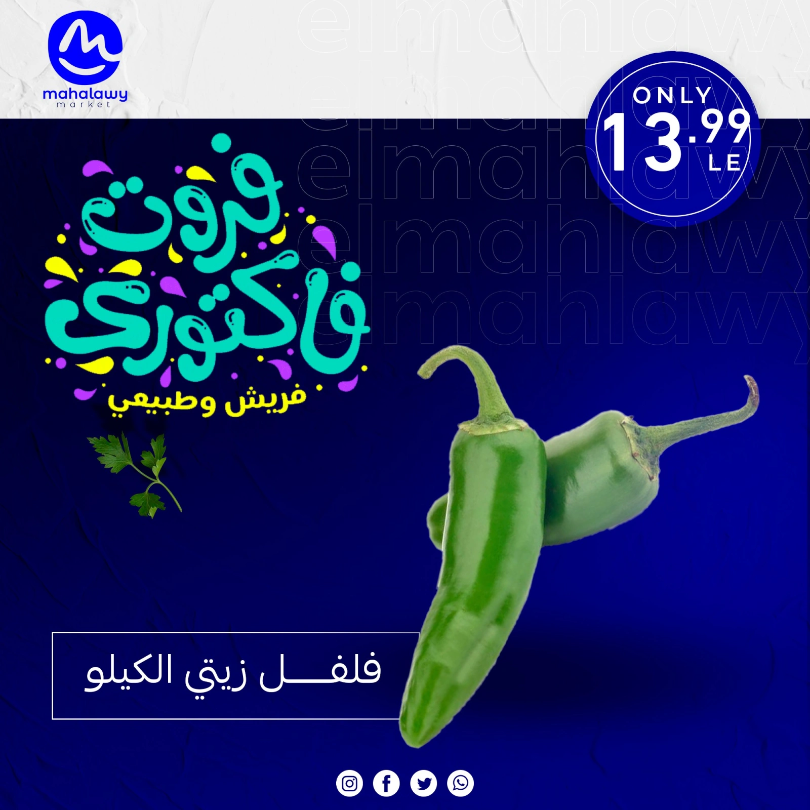 Page 24 dans Offres de légumes et de fruits chez El mhallawy Sons Egypte