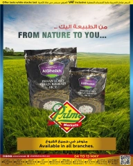 Page 14 in Hello Summer Deals at Prime markets Bahrain