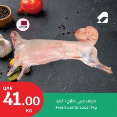 Página 5 |Ofertas de carnes y pescados. en City hiper Katar