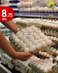 Página 7 |La mejor compra en City hiper Katar