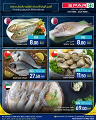 صفحة 6 |صفقات طازجة لدي سبار قطر