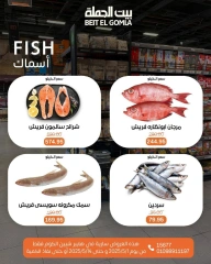 صفحة 15