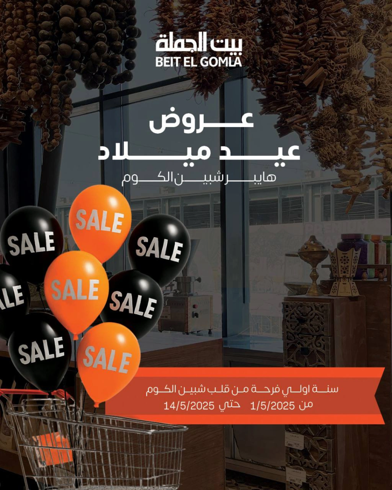 صفحة 1