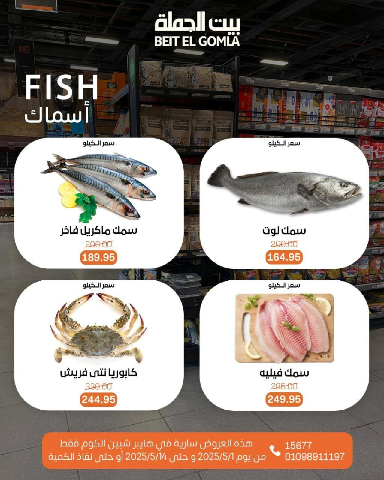 صفحة 14