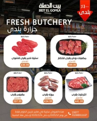صفحة 8