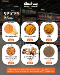 صفحة 26