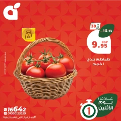 صفحة 2