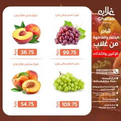 صفحة 14