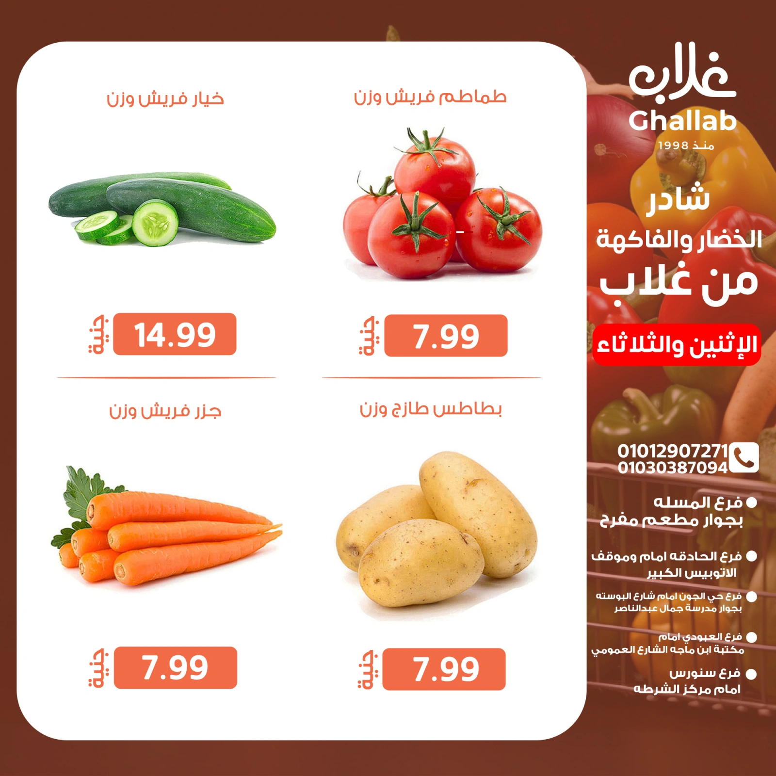 صفحة 6