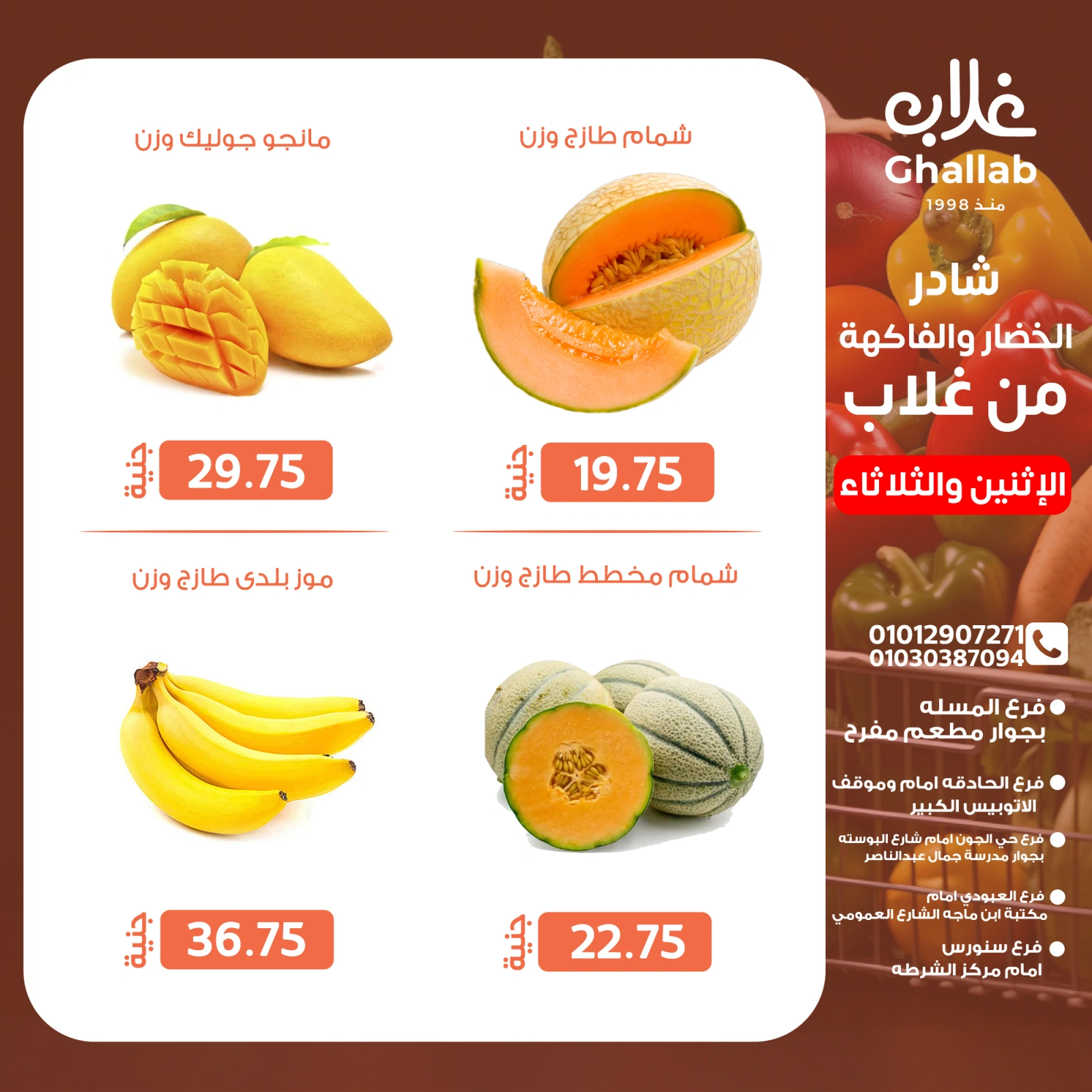 صفحة 13