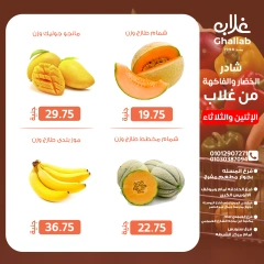 صفحة 13