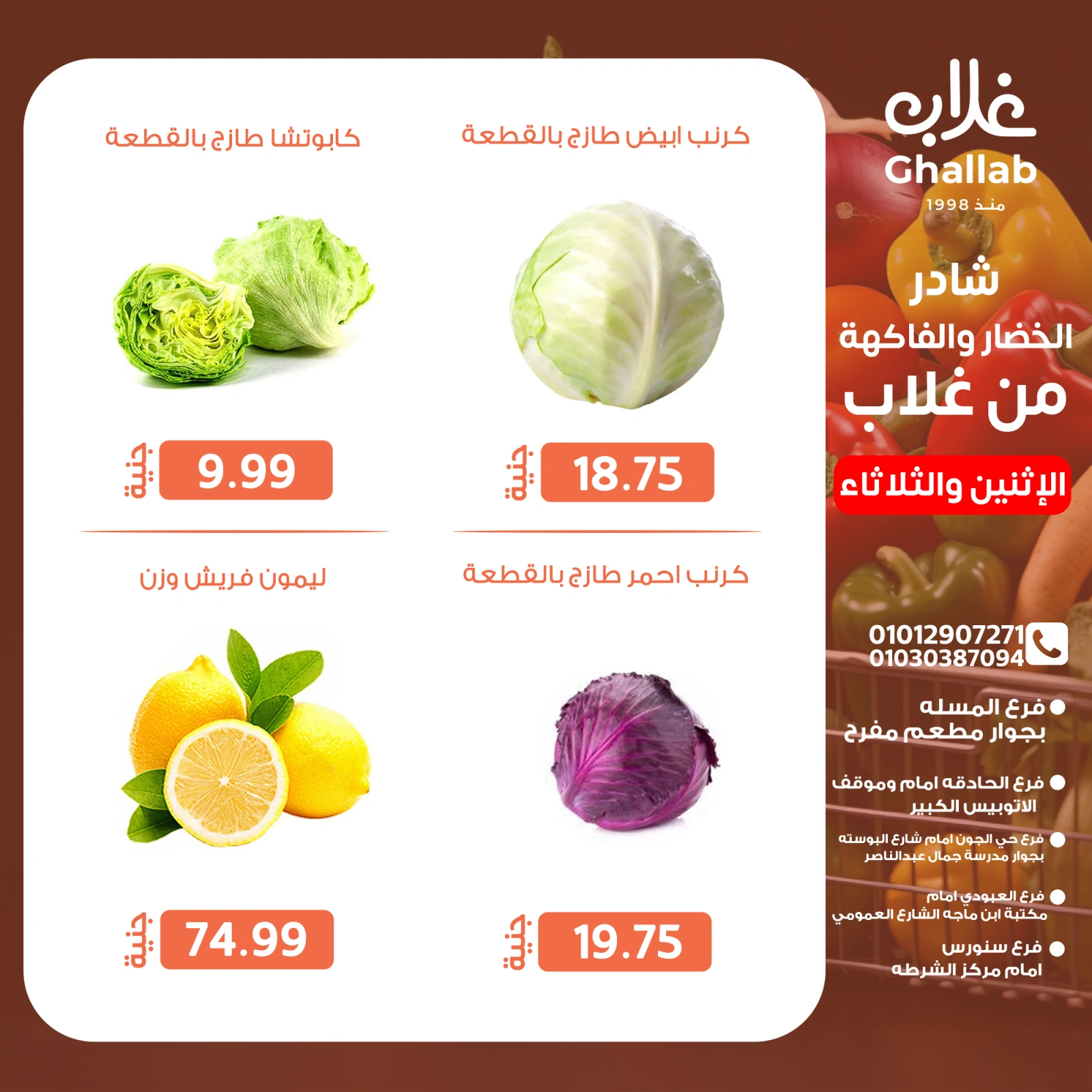صفحة 10