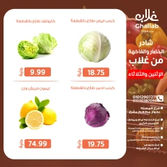 صفحة 10