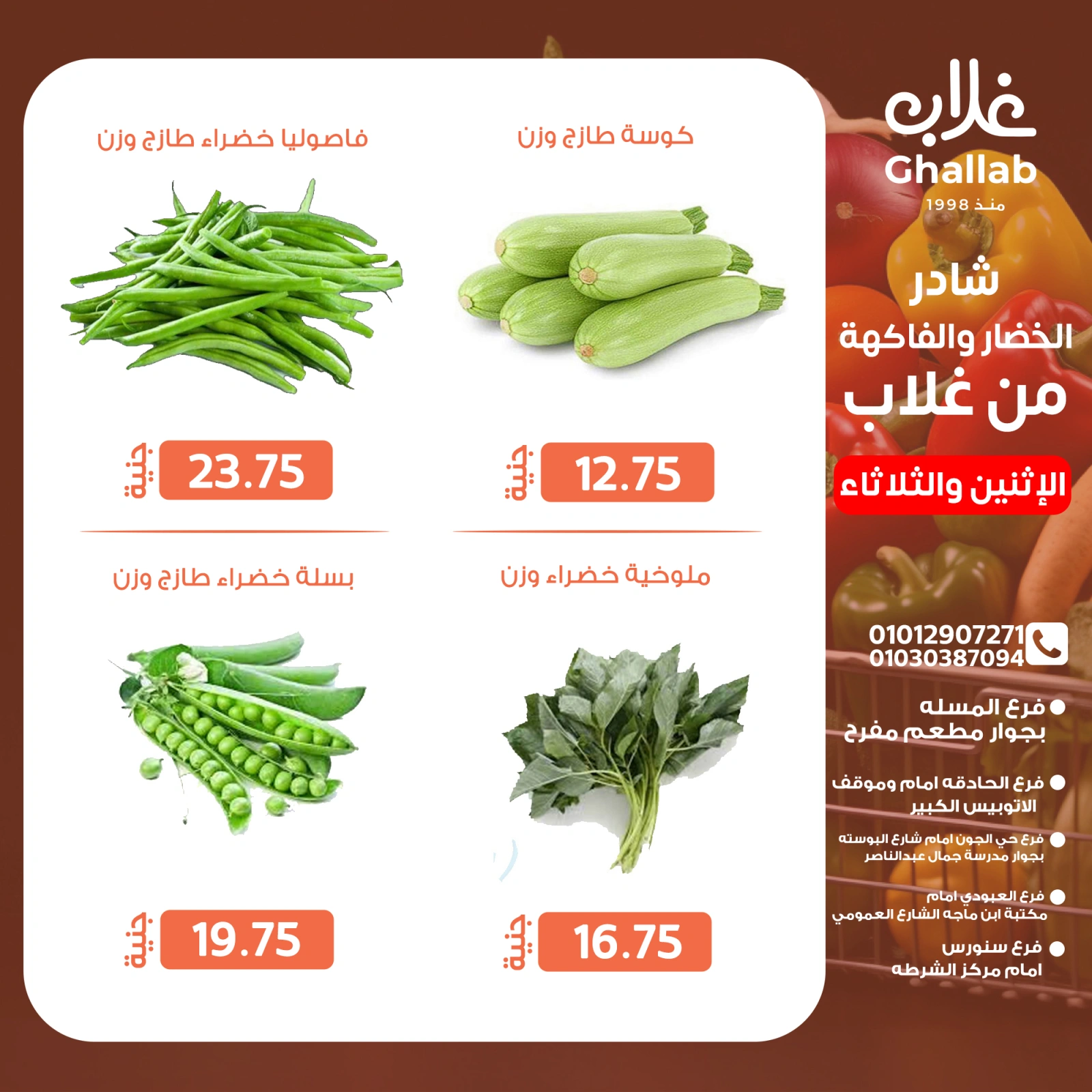 صفحة 11