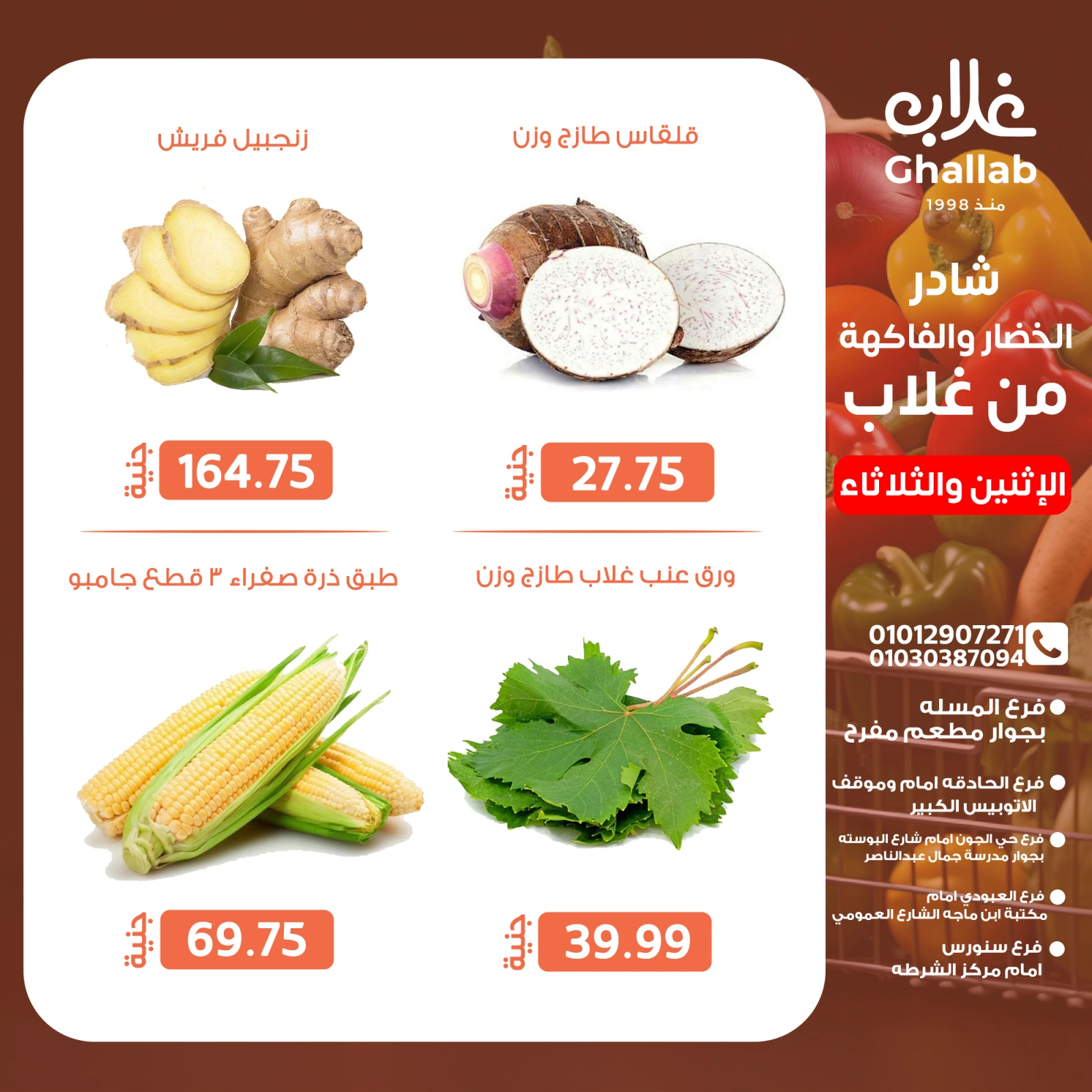 صفحة 12