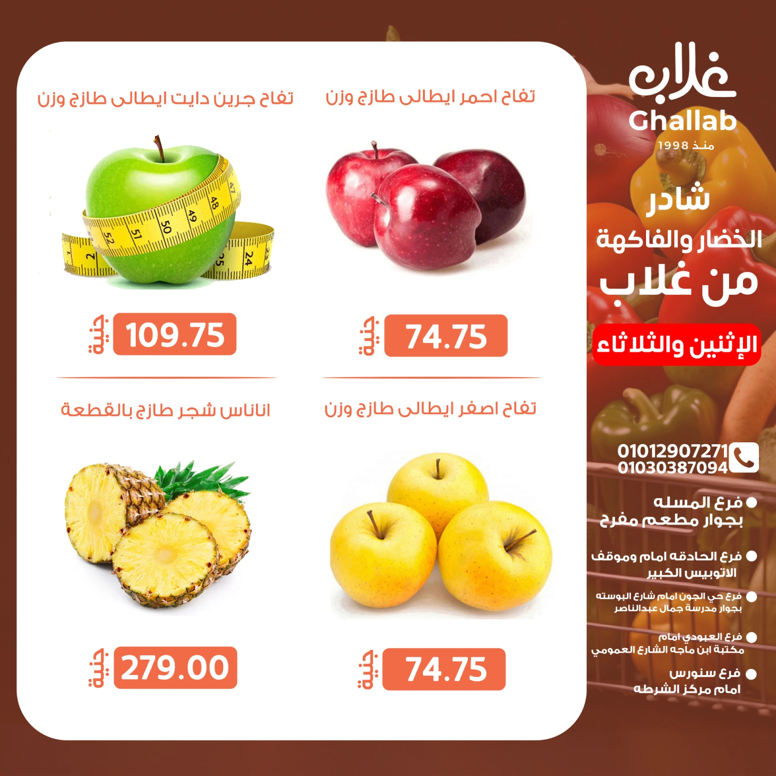 صفحة 3