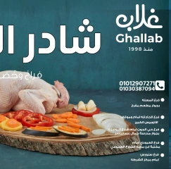 صفحة 1