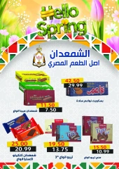 صفحة 17