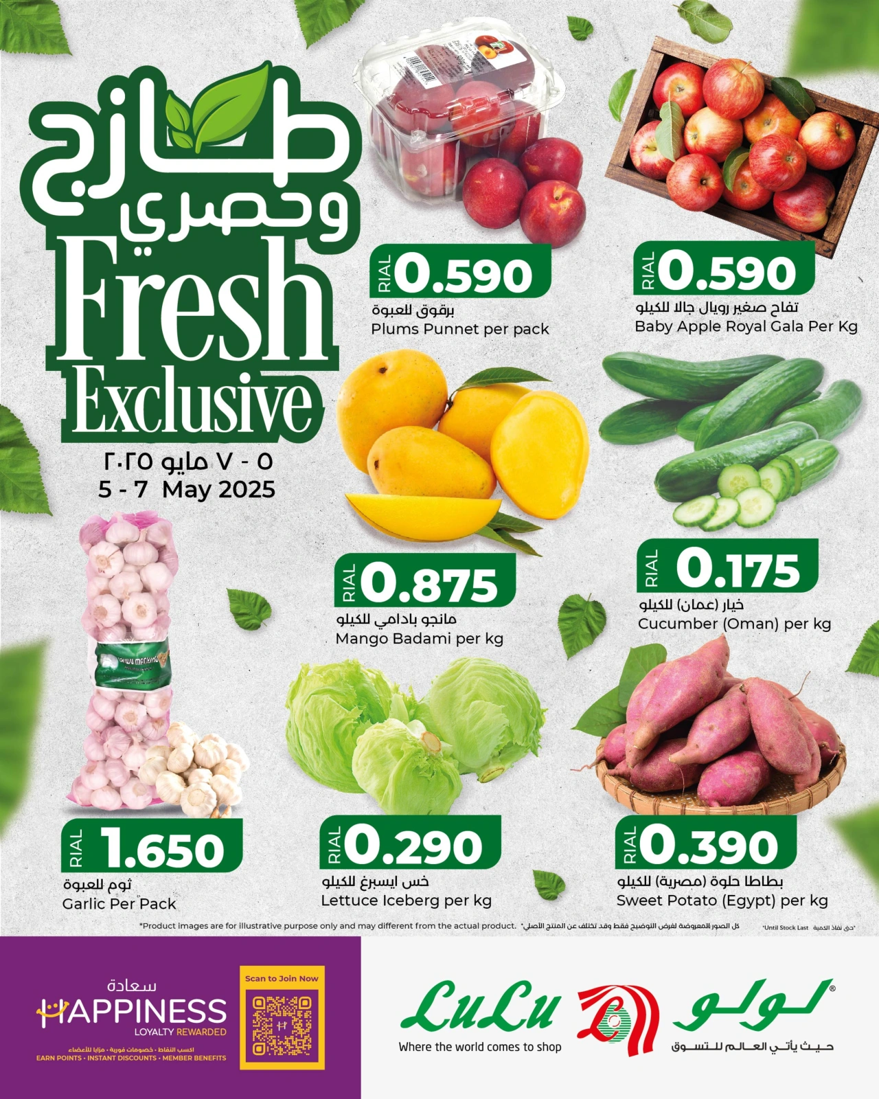 صفحة 1