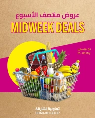 صفحة 1