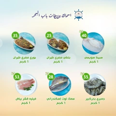 صفحة 2 |العروض الأسبوعية لدي النهضة المصرية الإمارات