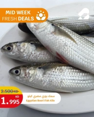صفحة 4 ضمن عروض الطازج في سيتى هايبر الكويت