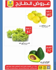 صفحة 3