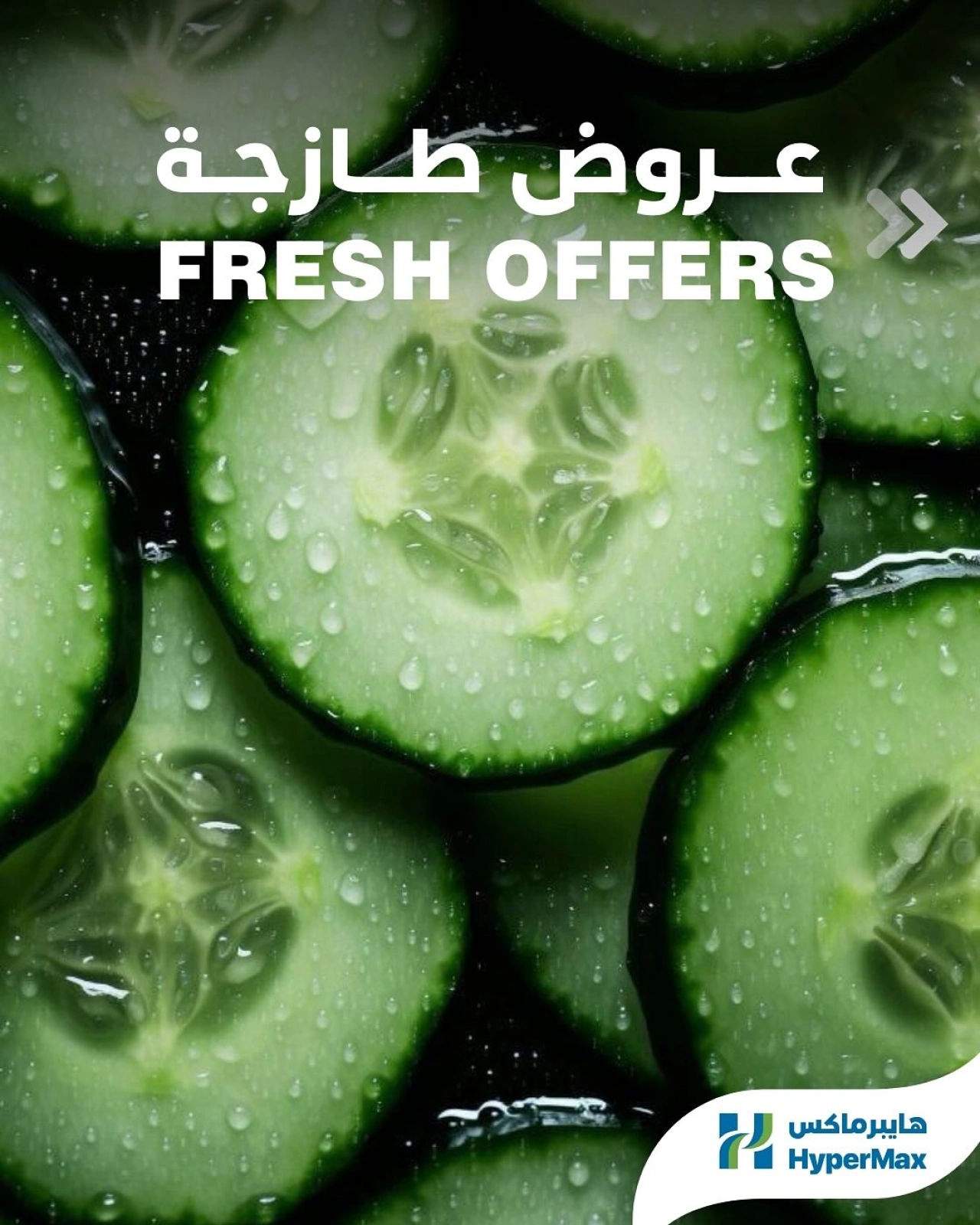 صفحة 1